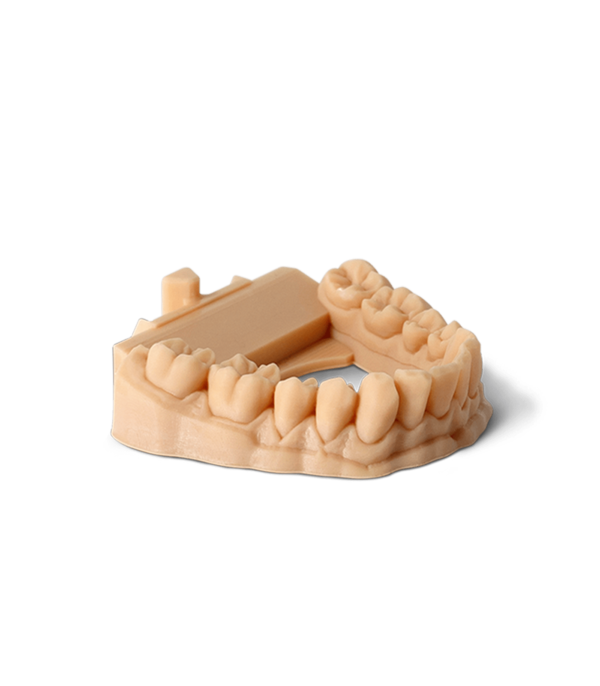 Phrozen Water-Washable Dental Model 1kg - Image 3