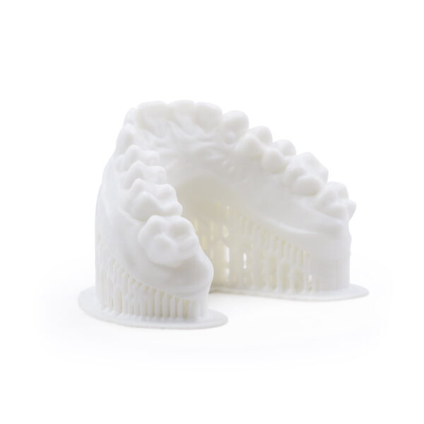 Harz Labs Dental Model Bone 0.5kg - Image 3