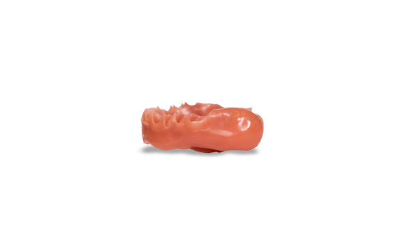 saremco print | DENTURETEC - Image 2