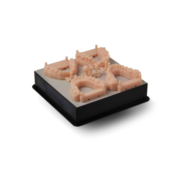 Formlabs Model