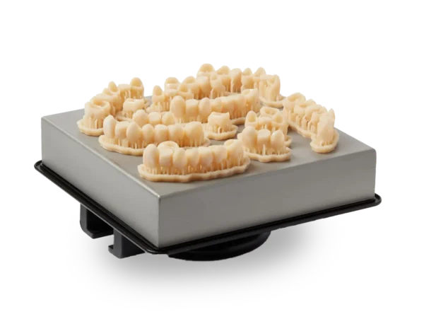 Formlabs Temporary CB