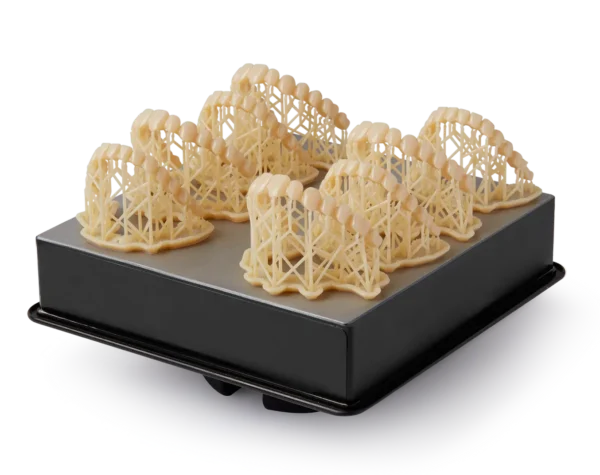 Formlabs Denture Teeth