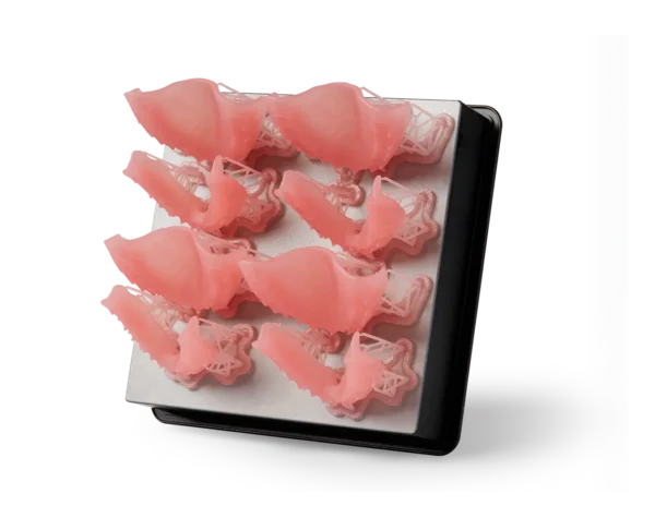 Formlabs Denture Base