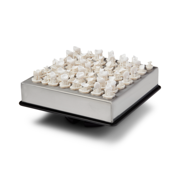 Formlabs Permanent Crown