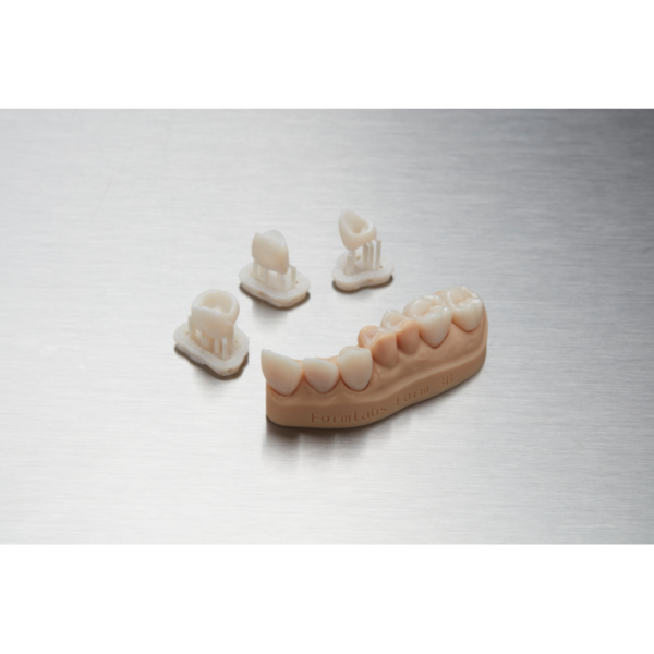 Formlabs Permanent Crown - Image 2